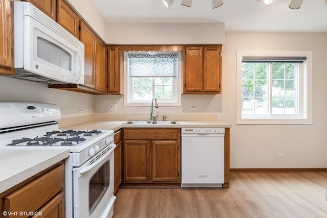 1258 Chalet Rd Unit 101, Naperville, IL 60563 - kitchen with white appliances, light wood-style flooring, brown cabinetry, and plenty of natural light