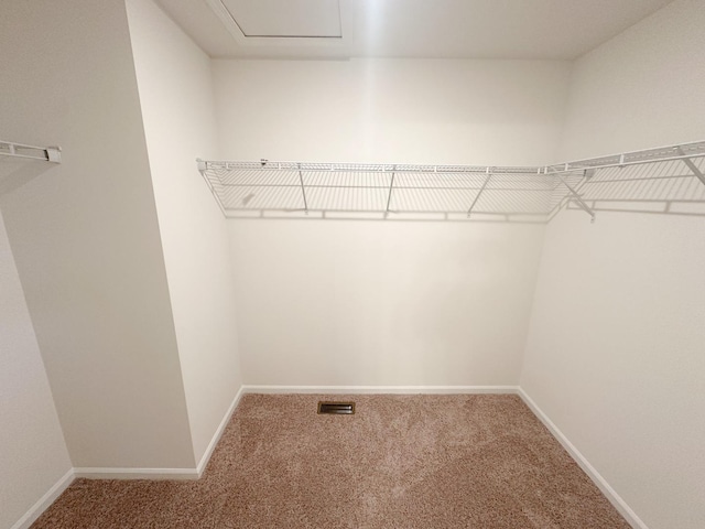 993 Celebration Dr, Aurora, IL 60504 - walk in closet with carpet flooring