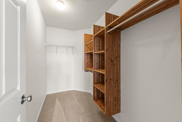 10615 W 153rd St, Orland Park, IL 60462 - walk in closet with carpet floors