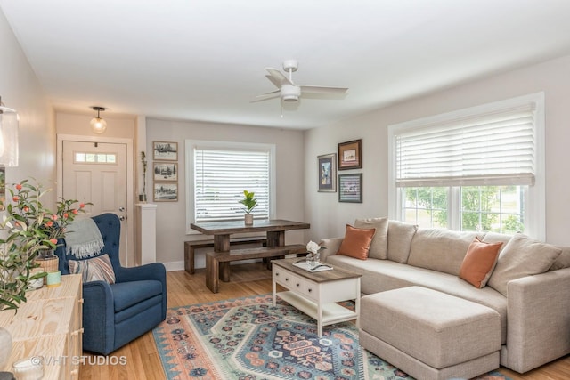 490 W Crystal Lake Ave, Crystal Lake, IL 60014 - living area featuring a ceiling fan, plenty of natural light, and light wood-style floors