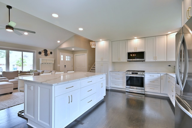 771 S Euclid Ave, Elmhurst, IL 60126 - kitchen featuring stainless steel appliances, open floor plan, a ceiling fan, a kitchen island, and dark wood-type flooring