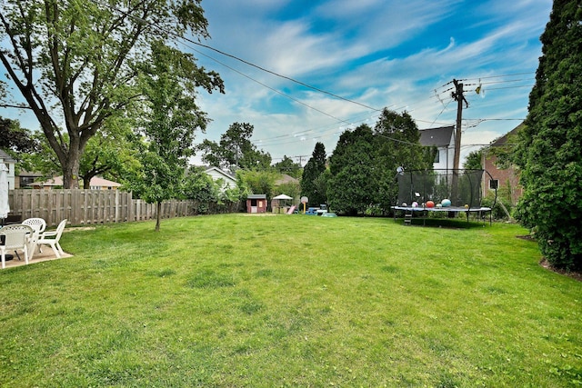 771 S Euclid Ave, Elmhurst, IL 60126 - view of yard with a trampoline