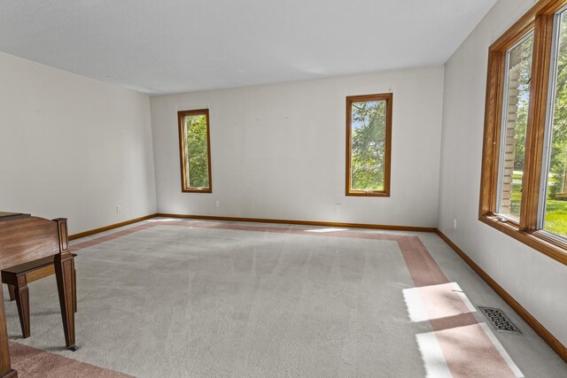 2 Lake Metonga Trl, Grant Park, IL 60940 - unfurnished room with plenty of natural light and carpet flooring