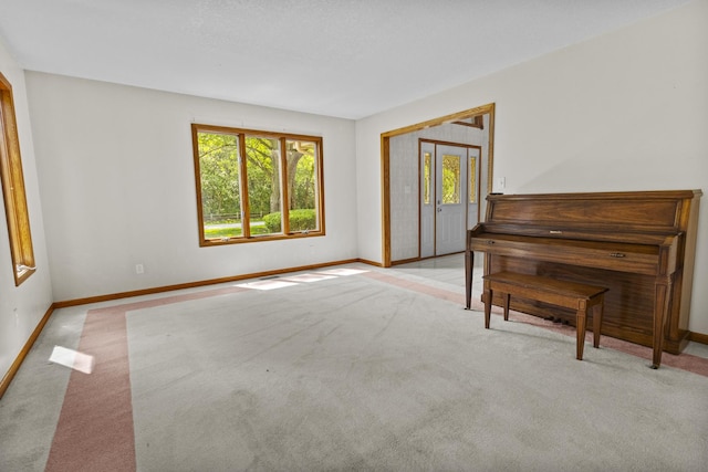 2 Lake Metonga Trl, Grant Park, IL 60940 - carpeted living room featuring baseboards