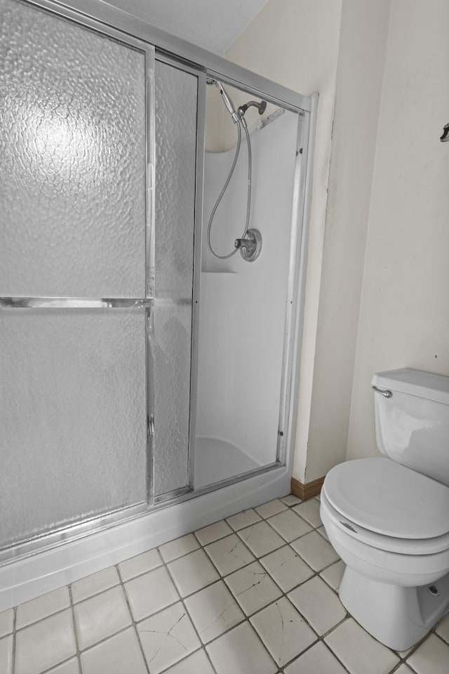 2 Lake Metonga Trl, Grant Park, IL 60940 - bathroom featuring a stall shower