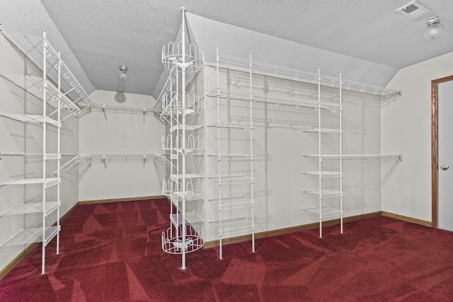 2 Lake Metonga Trl, Grant Park, IL 60940 - walk in closet featuring carpet flooring