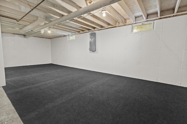 2 Lake Metonga Trl, Grant Park, IL 60940 - below grade area featuring electric panel, healthy amount of natural light, and carpet flooring