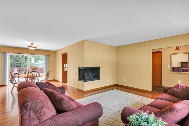 1207 W Kirby Ave, Champaign, IL 61821 - living room with light wood-style flooring and a multi sided fireplace