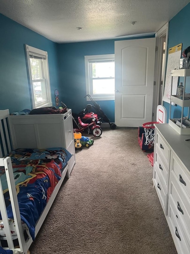 1131 S Nelson Ave, Kankakee, IL 60901 - bedroom featuring a textured ceiling and carpet