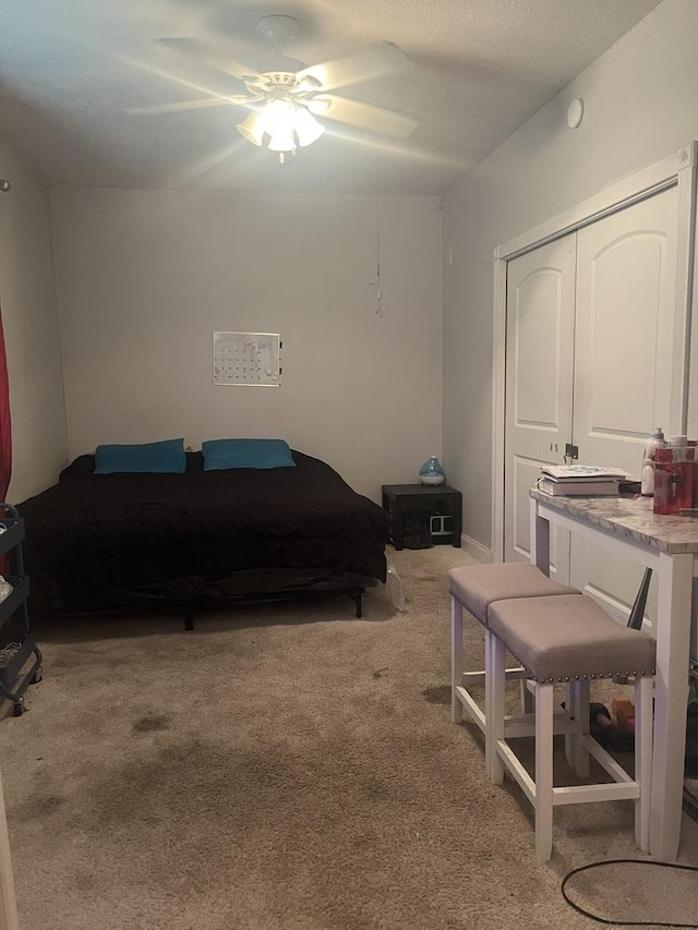 1131 S Nelson Ave, Kankakee, IL 60901 - bedroom with carpet floors, ceiling fan, and a closet