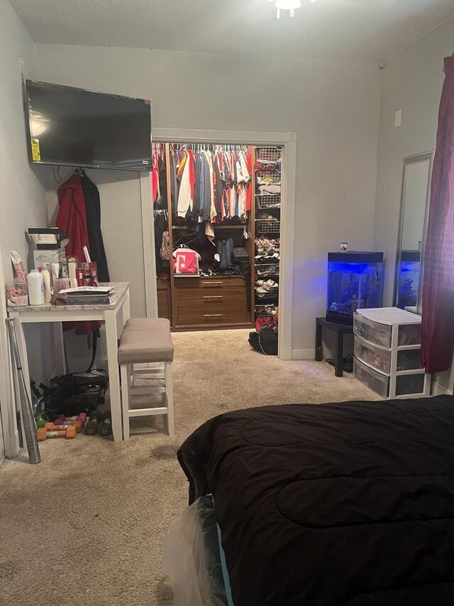 1131 S Nelson Ave, Kankakee, IL 60901 - view of carpeted bedroom