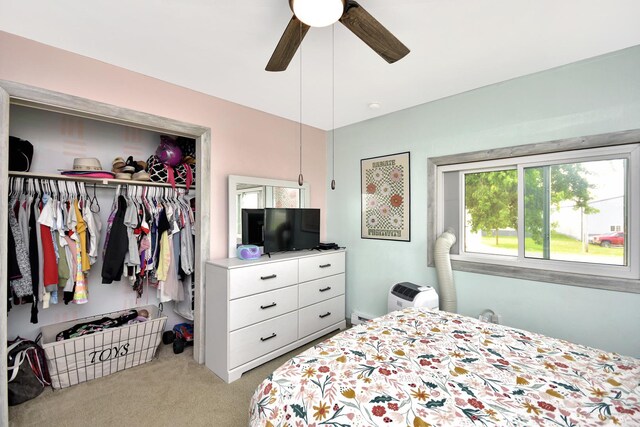 335 Dodge St, Cisco, IL 61830 - photo 49