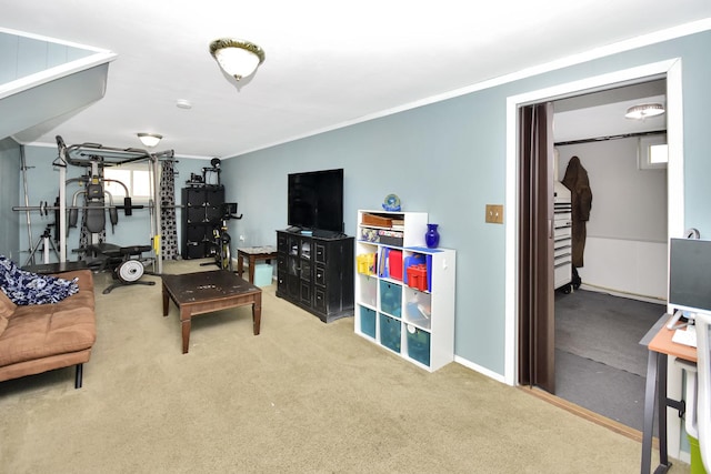 335 Dodge St, Cisco, IL 61830 - photo 59