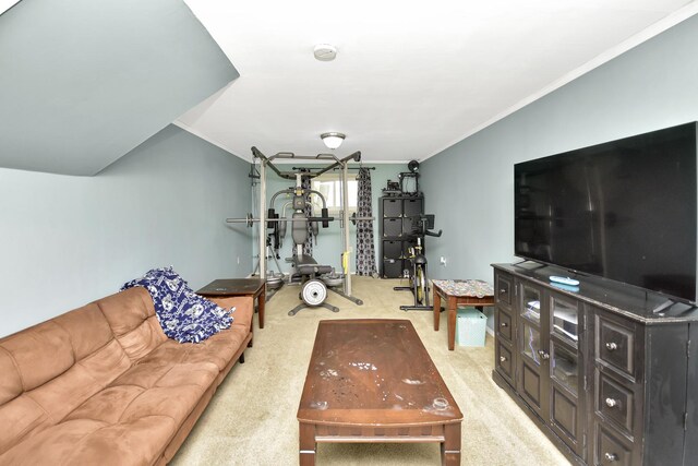 335 Dodge St, Cisco, IL 61830 - photo 60