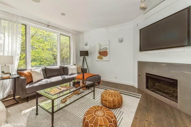 1346 S Wabash Ave Unit D, Chicago, IL 60605 - living area with wood finished floors, ornamental molding, a glass covered fireplace, and baseboards