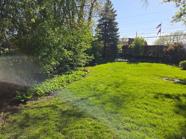 608 N Craig Pl, Addison, IL 60101 - view of yard