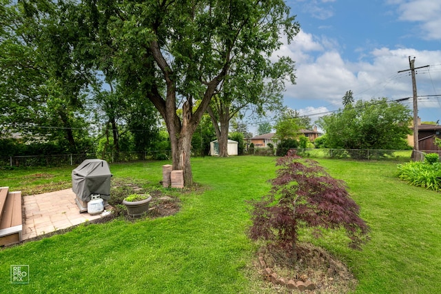 12732 S Austin Ave, Palos Heights, IL 60463 - view of yard featuring a patio