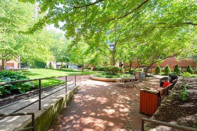 1115 S Plymouth Ct Unit 124, Chicago, IL 60605 - view of surrounding community
