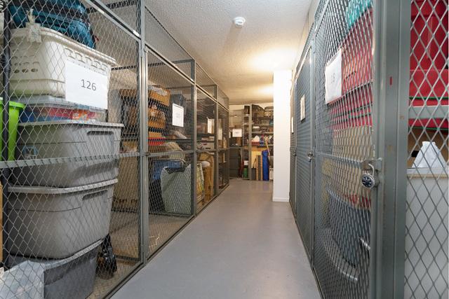 1115 S Plymouth Ct Unit 124, Chicago, IL 60605 - view of storage