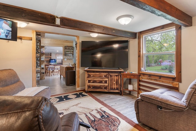 20425 N Hazelcrest Rd, Palatine, IL 60074 - living room featuring beam ceiling and wood finished floors