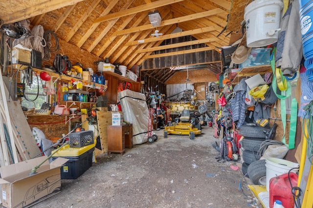 20425 N Hazelcrest Rd, Palatine, IL 60074 - view of storage area