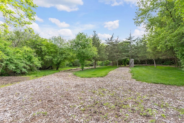 20425 N Hazelcrest Rd, Palatine, IL 60074 - view of green lawn