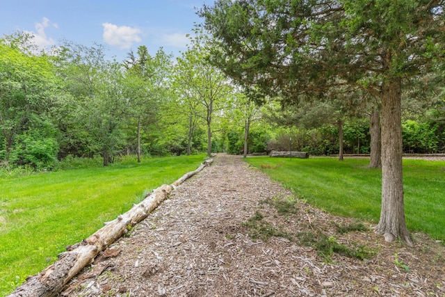 20425 N Hazelcrest Rd, Palatine, IL 60074 - view of green lawn featuring a forest view