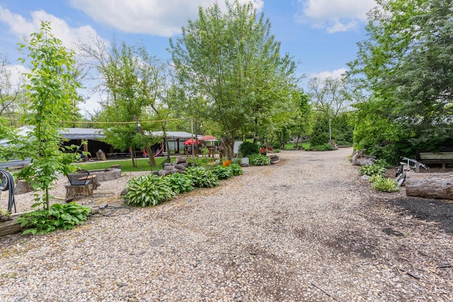 20425 N Hazelcrest Rd, Palatine, IL 60074 - view of yard