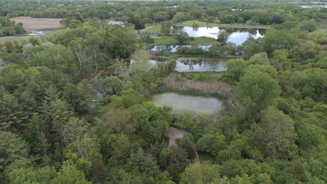 20425 N Hazelcrest Rd, Palatine, IL 60074 - aerial overview of property's location featuring a large body of water and a forest