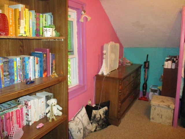 411 S Walnut St, Forreston, IL 61030 - carpeted bedroom with vaulted ceiling