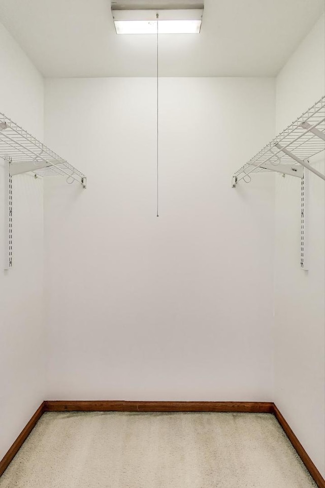 1492 Della Dr, Hoffman Estates, IL 60169 - spacious closet featuring light colored carpet