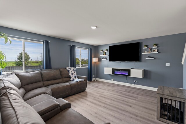 6012 Winterhaven Dr, Joliet, IL 60431 - living area featuring light wood-style flooring and a glass covered fireplace