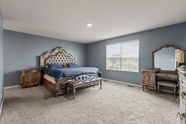 6012 Winterhaven Dr, Joliet, IL 60431 - bedroom featuring carpet flooring