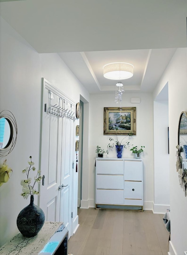 363 E Wacker Dr Unit 4801, Chicago, IL 60601 - entryway featuring light wood-style floors, baseboards, and a tray ceiling