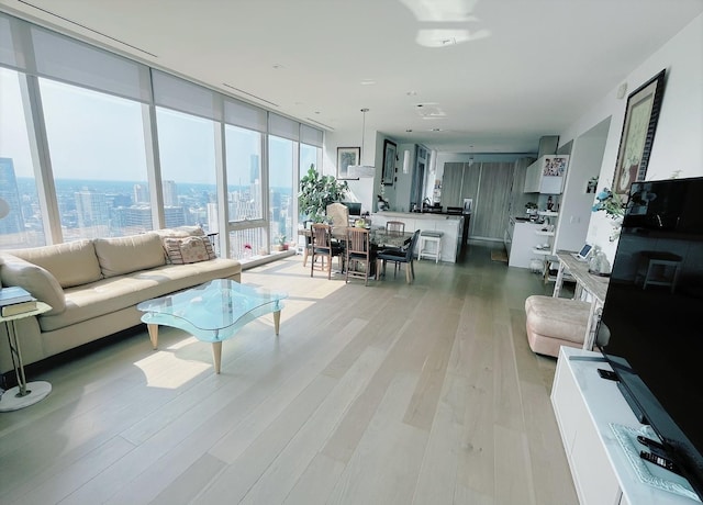 363 E Wacker Dr Unit 4801, Chicago, IL 60601 - living area with light wood finished floors and a view of city