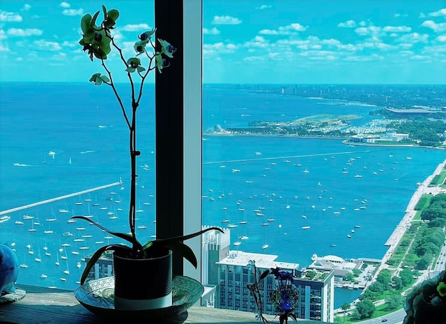 363 E Wacker Dr Unit 4801, Chicago, IL 60601 - water view