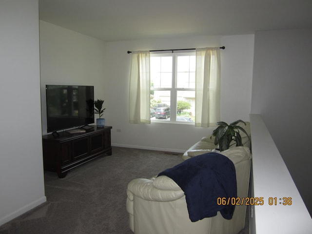 553 Hemmingsen St, Plano, IL 60545 - living area with carpet and baseboards