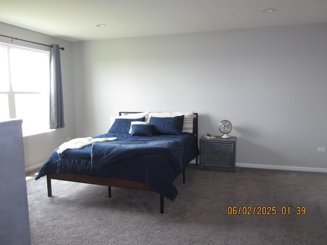 553 Hemmingsen St, Plano, IL 60545 - carpeted bedroom featuring multiple windows and baseboards