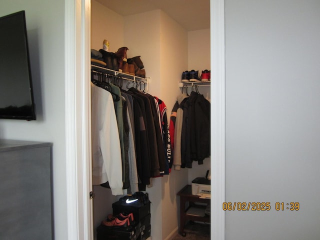 553 Hemmingsen St, Plano, IL 60545 - view of spacious closet