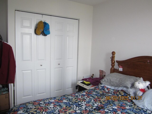 553 Hemmingsen St, Plano, IL 60545 - bedroom with a closet