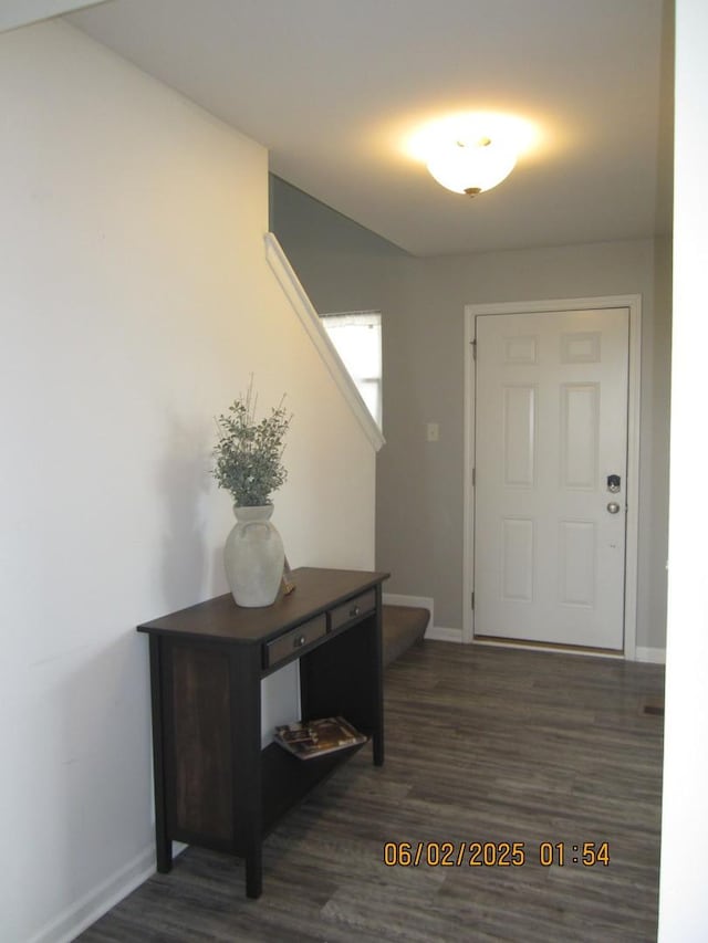 553 Hemmingsen St, Plano, IL 60545 - doorway featuring wood finished floors and baseboards