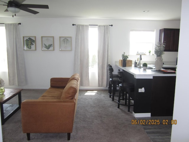 553 Hemmingsen St, Plano, IL 60545 - carpeted living area with a sink, a ceiling fan, and recessed lighting