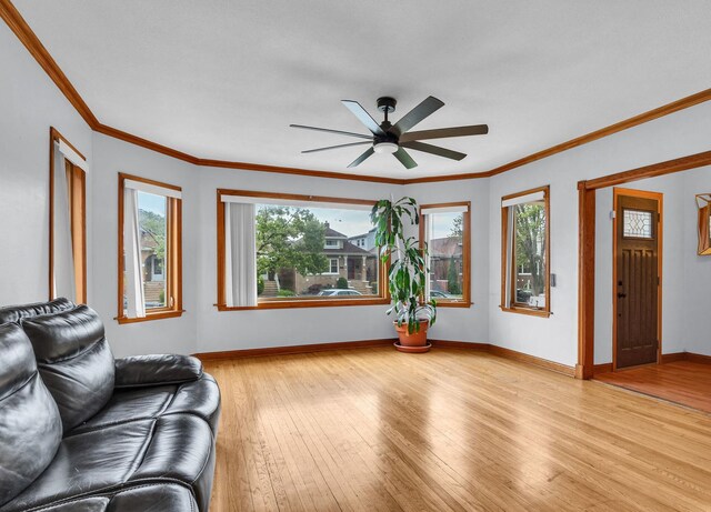 2822 N 76th Ct, Elmwood Park, IL 60707 - living room with light wood finished floors, a ceiling fan, baseboards, and ornamental molding