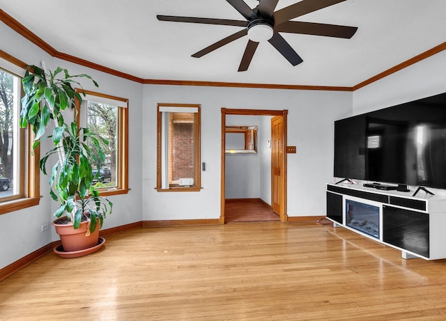 2822 N 76th Ct, Elmwood Park, IL 60707 - unfurnished living room with light wood-type flooring, a ceiling fan, baseboards, and crown molding