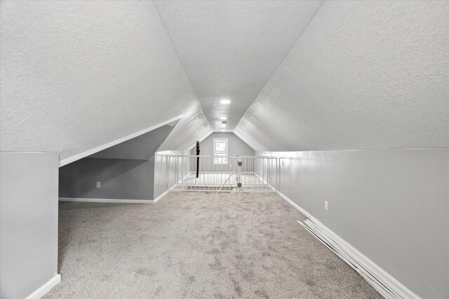 752 N 9th Ave, Kankakee, IL 60901 - additional living space with a textured ceiling, lofted ceiling, baseboards, and carpet floors