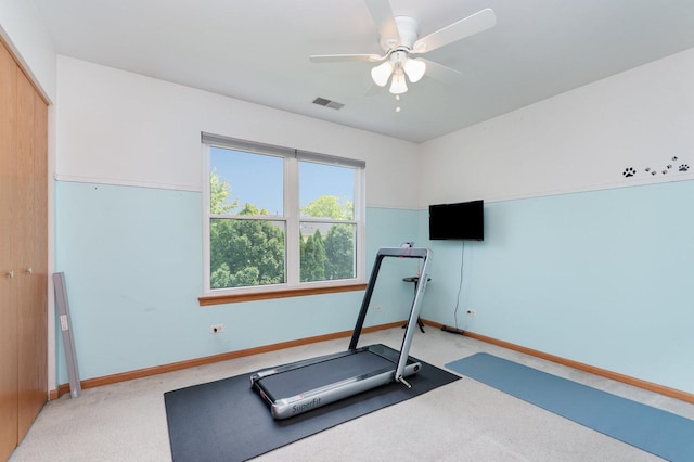 3518 Matisse Dr, Saint Charles, IL 60175 - workout room featuring carpet flooring and a ceiling fan