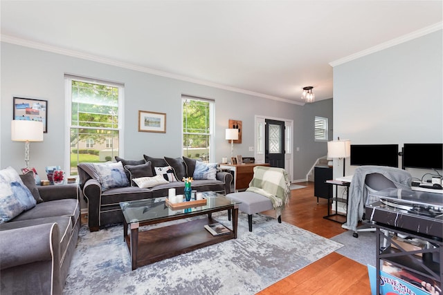 3518 Matisse Dr, Saint Charles, IL 60175 - living room featuring crown molding and light wood-style flooring