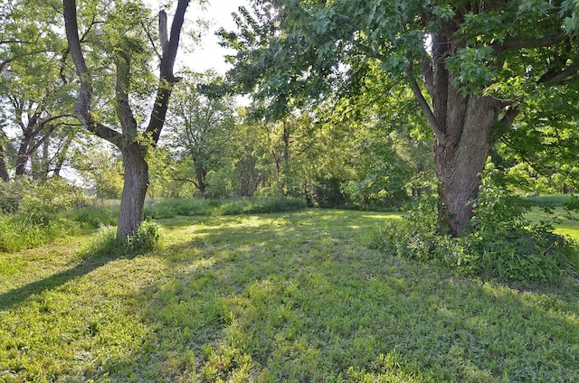 004 N 4201st Rd, Sheridan, IL 60551 - view of green lawn featuring a view of trees