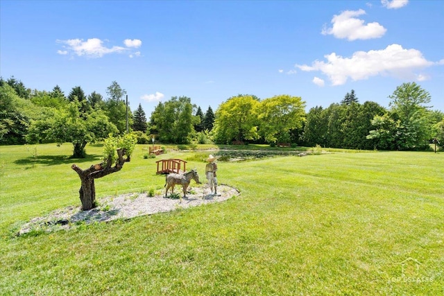 12455 W 33rd St, Beach Park, IL 60099 - photo 38