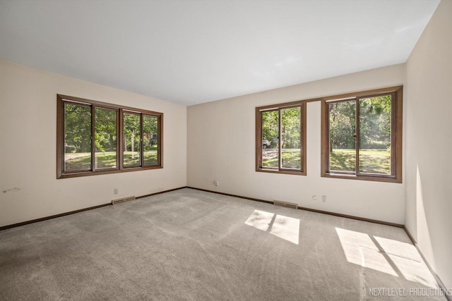 4N194 Thornly Rd, Saint Charles, IL 60174 - carpeted spare room featuring plenty of natural light